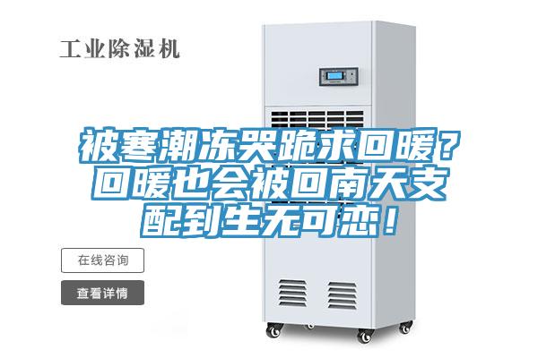 被寒潮凍哭跪求回暖？回暖也會被回南天支配到生無可戀！
