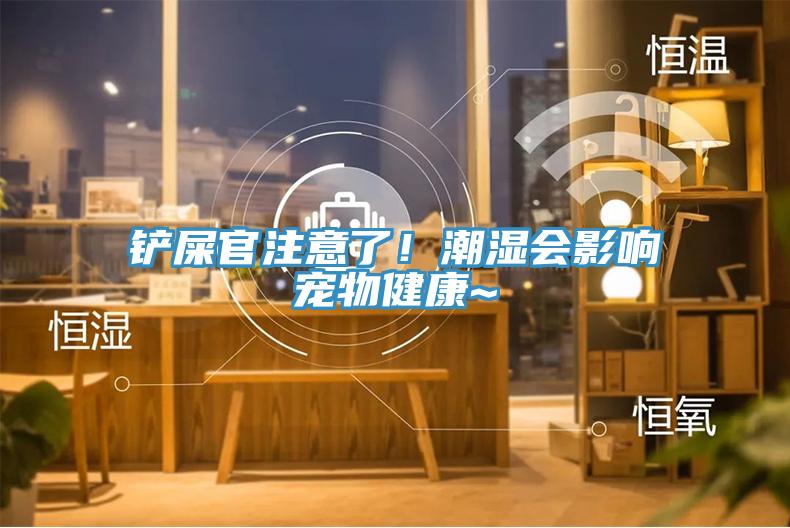 鏟屎官注意了！潮濕會影響寵物健康~