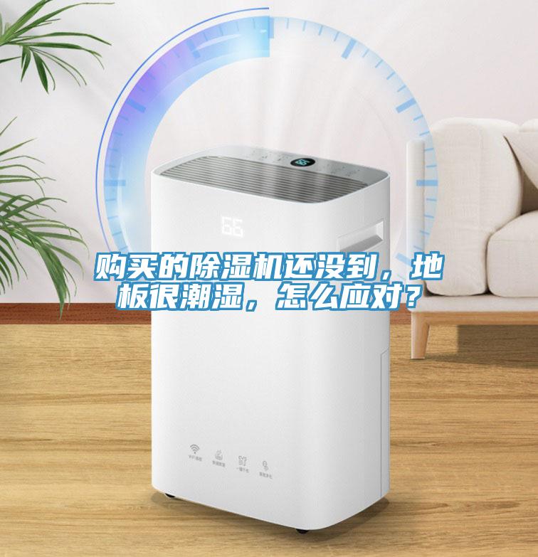 購(gòu)買的除濕機(jī)還沒(méi)到，地板很潮濕，怎么應(yīng)對(duì)？