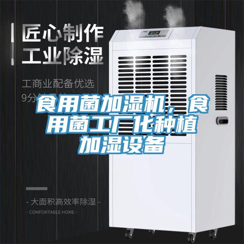食用菌加濕機(jī)，食用菌工廠(chǎng)化種植加濕設(shè)備