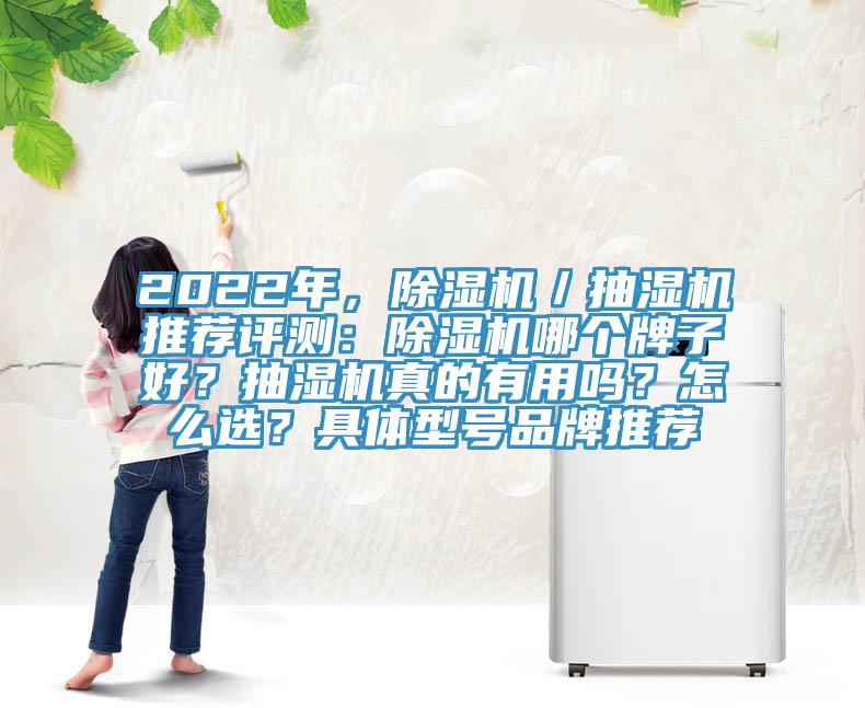 2022年，除濕機(jī)／抽濕機(jī)推薦評(píng)測(cè)：除濕機(jī)哪個(gè)牌子好？抽濕機(jī)真的有用嗎？怎么選？具體型號(hào)品牌推薦
