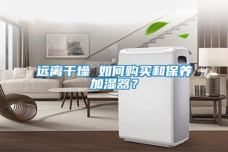 遠(yuǎn)離干燥 如何購買和保養(yǎng)加濕器？