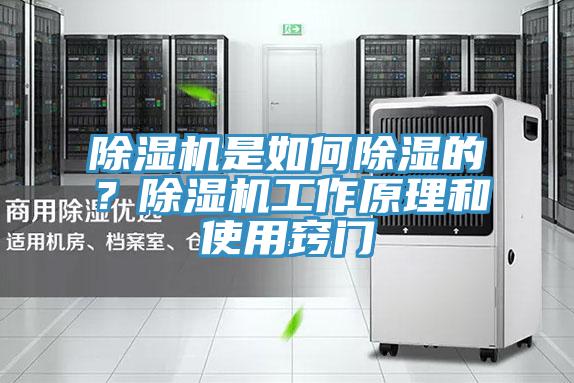 除濕機(jī)是如何除濕的？除濕機(jī)工作原理和使用竅門