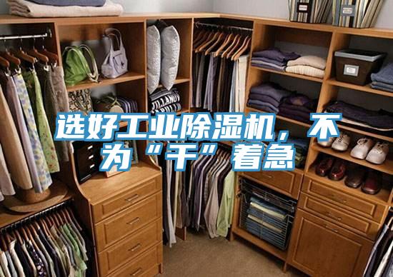 選好工業(yè)除濕機，不為“干”著急