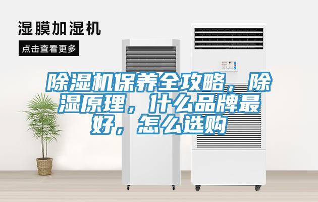 除濕機(jī)保養(yǎng)全攻略，除濕原理，什么品牌最好，怎么選購(gòu)