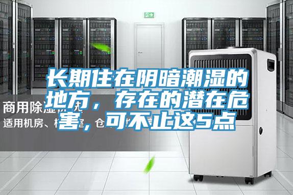 長期住在陰暗潮濕的地方，存在的潛在危害，可不止這5點