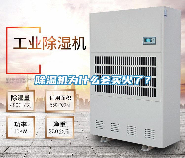 除濕機(jī)為什么會買火了？