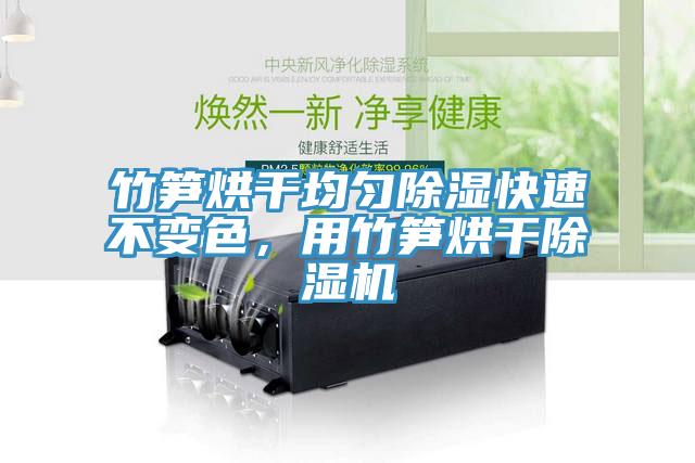 竹筍烘干均勻除濕快速不變色，用竹筍烘干除濕機(jī)