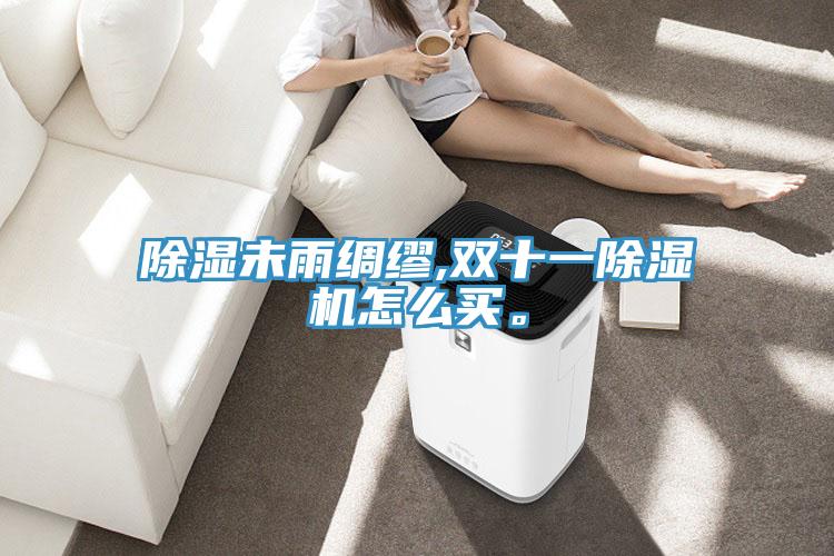 除濕未雨綢繆,雙十一除濕機怎么買。