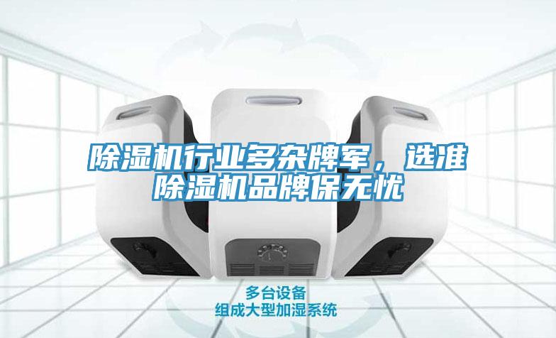 除濕機行業(yè)多雜牌軍，選準(zhǔn)除濕機品牌保無憂