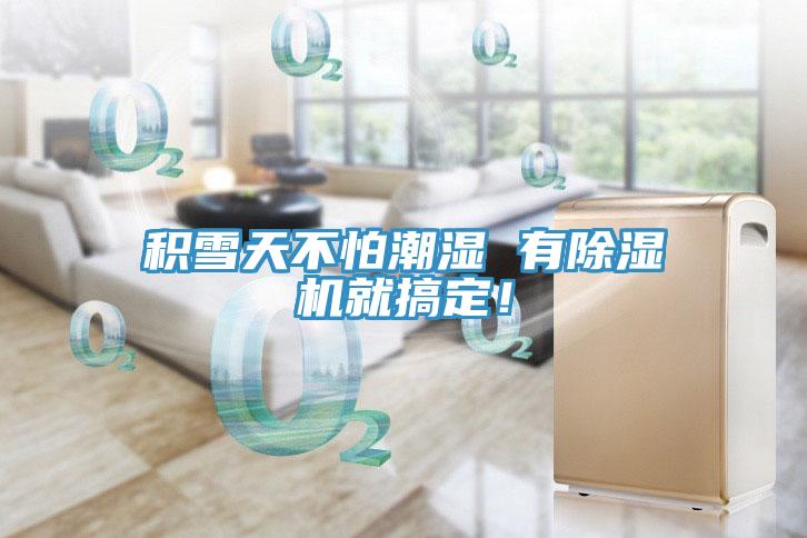 積雪天不怕潮濕 有除濕機(jī)就搞定！