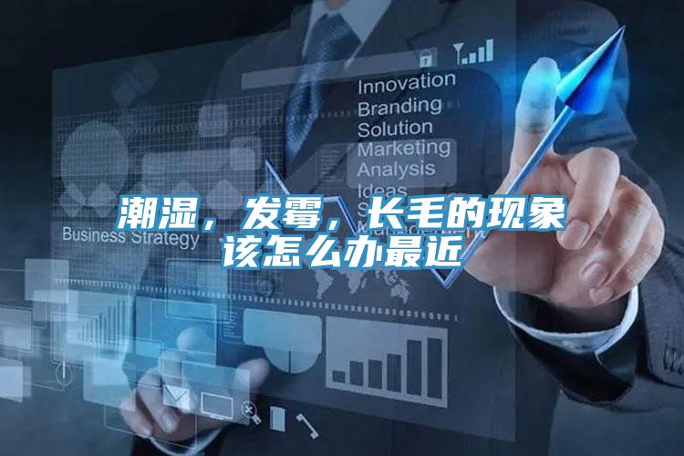 潮濕，發(fā)霉，長毛的現(xiàn)象該怎么辦最近