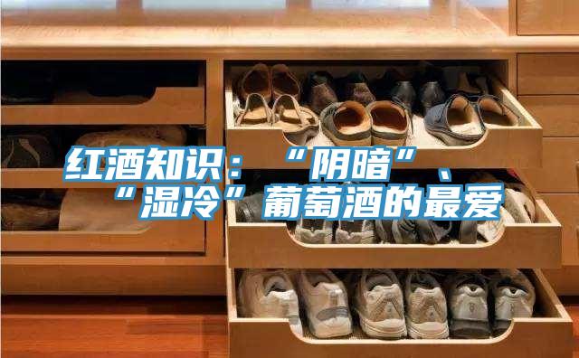 紅酒知識(shí)：“陰暗”、“濕冷”葡萄酒的最愛