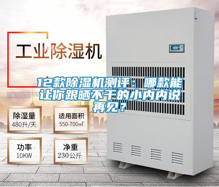 12款除濕機(jī)測評：哪款能讓你跟曬不干的小內(nèi)內(nèi)說再見？
