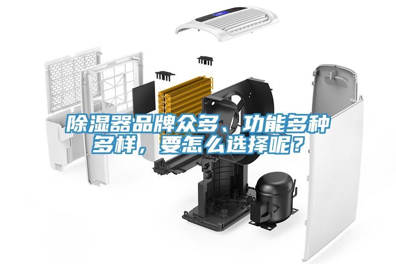 除濕器品牌眾多、功能多種多樣，要怎么選擇呢？
