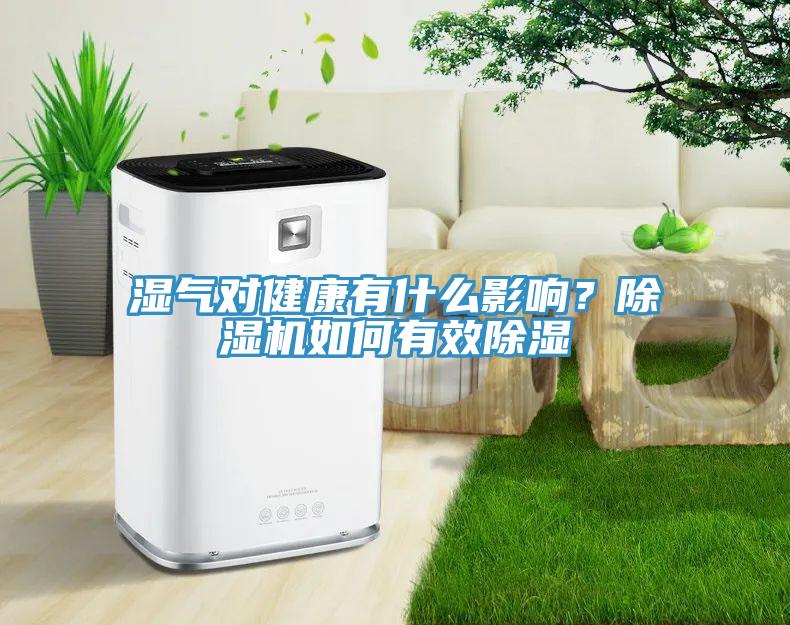 濕氣對(duì)健康有什么影響？除濕機(jī)如何有效除濕