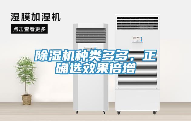 除濕機種類多多，正確選效果倍增