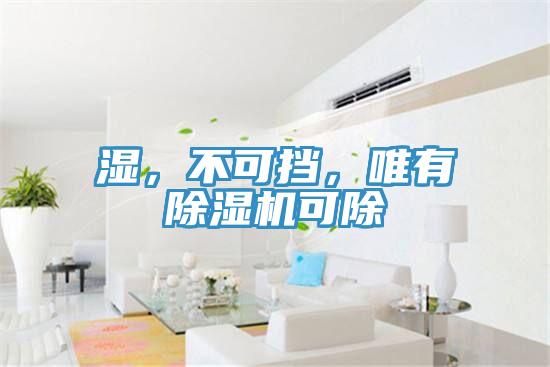 濕，不可擋，唯有除濕機(jī)可除
