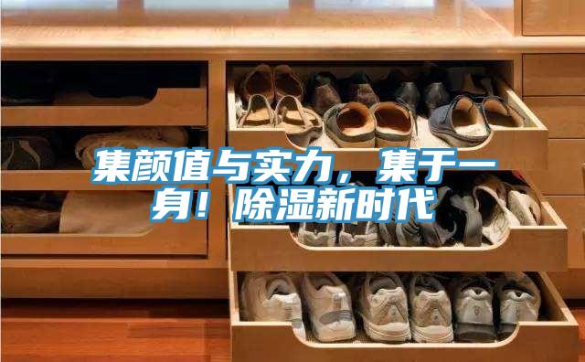 集顏值與實力，集于一身！除濕新時代