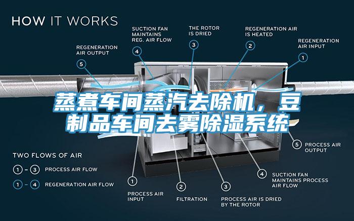 蒸煮車(chē)間蒸汽去除機(jī)，豆制品車(chē)間去霧除濕系統(tǒng)