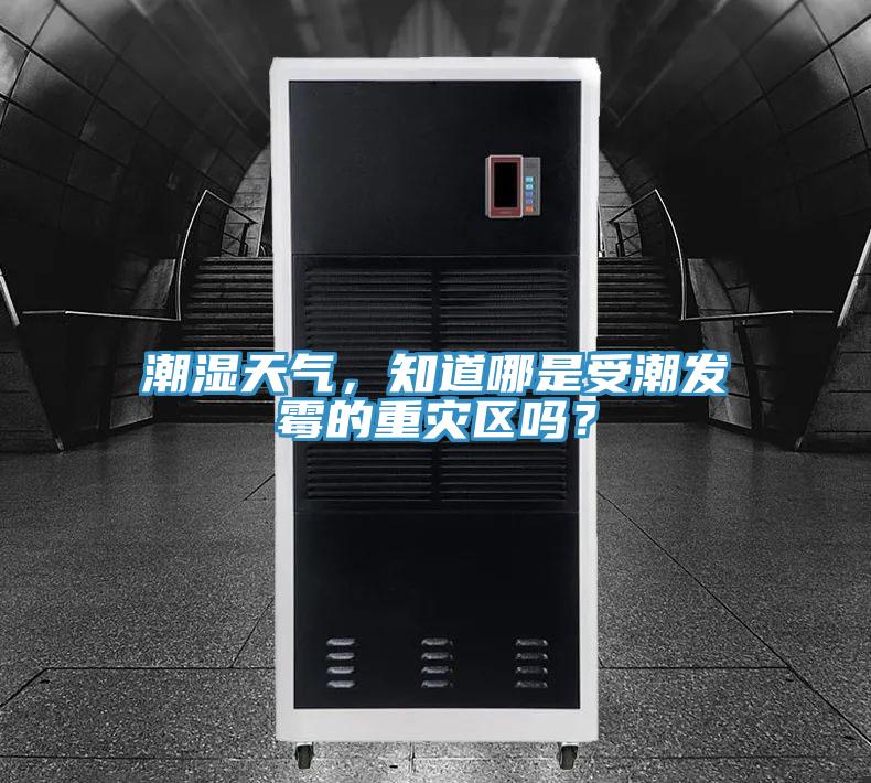 潮濕天氣，知道哪是受潮發(fā)霉的重災(zāi)區(qū)嗎？