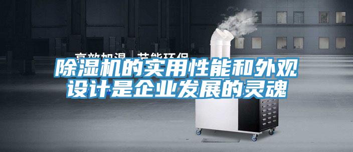 除濕機(jī)的實(shí)用性能和外觀(guān)設(shè)計(jì)是企業(yè)發(fā)展的靈魂