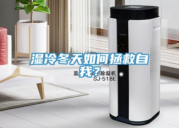 濕冷冬天如何拯救自我？