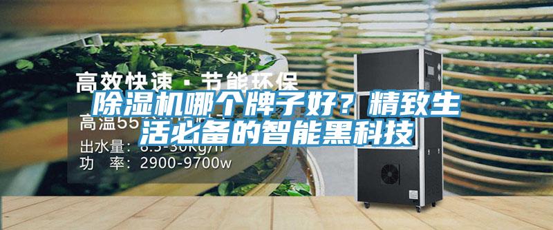 除濕機(jī)哪個(gè)牌子好？精致生活必備的智能黑科技