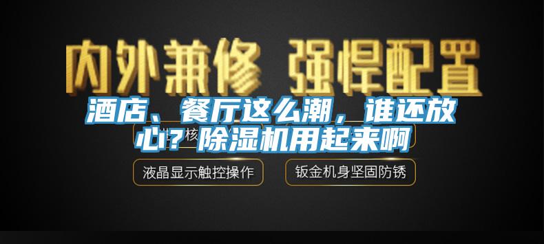 酒店、餐廳這么潮，誰還放心？除濕機用起來啊