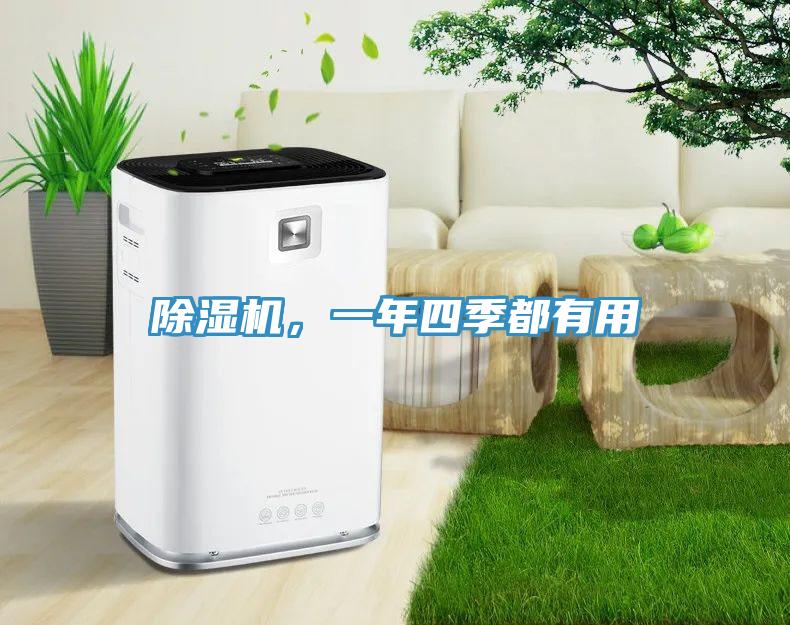 除濕機，一年四季都有用