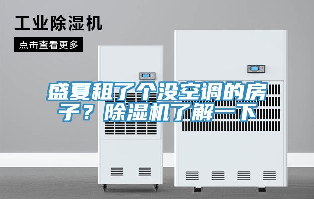 盛夏租了個沒空調(diào)的房子？除濕機了解一下