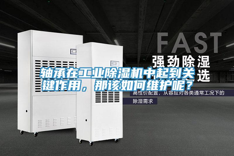 軸承在工業(yè)除濕機中起到關(guān)鍵作用，那該如何維護呢？