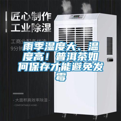雨季濕度大、溫度高！普洱茶如何保存才能避免發(fā)霉