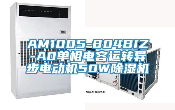 AM1005-804BIZ-A0單相電容運(yùn)轉(zhuǎn)異步電動機(jī)50W除濕機(jī)