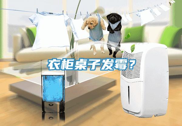 衣柜桌子發(fā)霉？