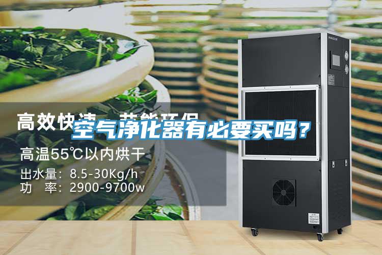 空氣凈化器有必要買嗎？