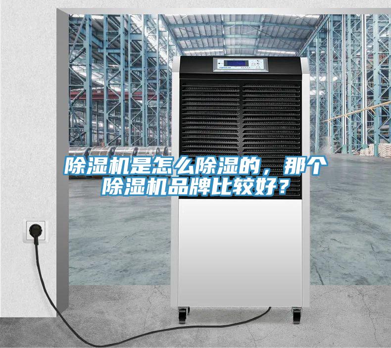 除濕機(jī)是怎么除濕的，那個(gè)除濕機(jī)品牌比較好？