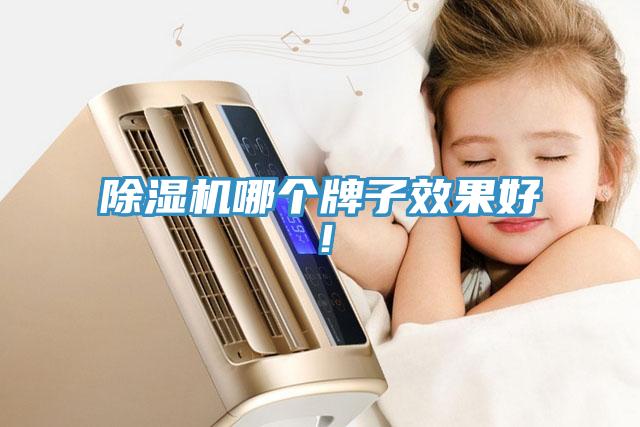 除濕機(jī)哪個(gè)牌子效果好！