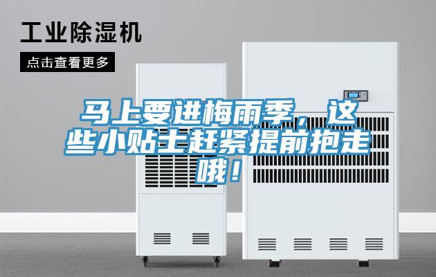 馬上要進(jìn)梅雨季，這些小貼士趕緊提前抱走哦！