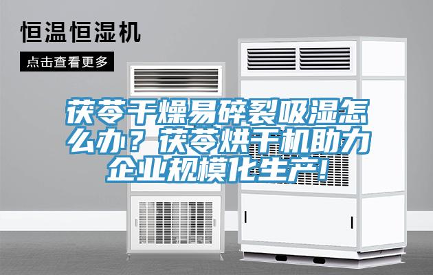 茯苓干燥易碎裂吸濕怎么辦？茯苓烘干機(jī)助力企業(yè)規(guī)?；a(chǎn)!