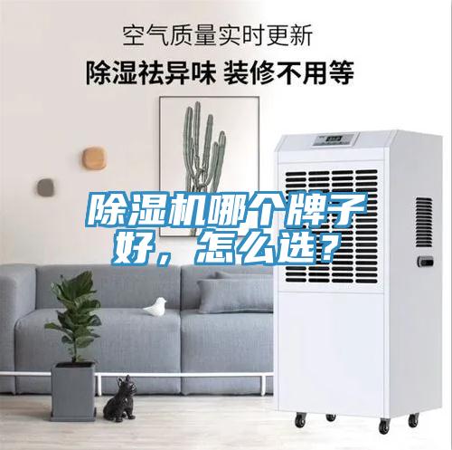 除濕機(jī)哪個(gè)牌子好，怎么選？