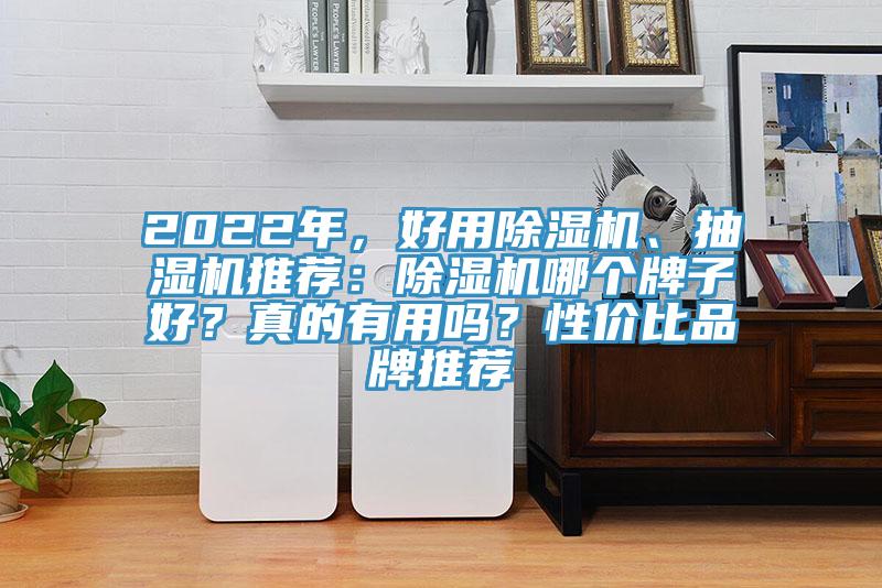 2022年，好用除濕機(jī)、抽濕機(jī)推薦：除濕機(jī)哪個(gè)牌子好？真的有用嗎？性價(jià)比品牌推薦