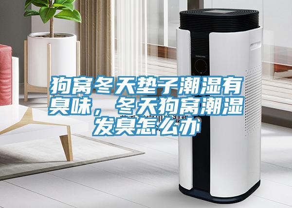 狗窩冬天墊子潮濕有臭味，冬天狗窩潮濕發(fā)臭怎么辦