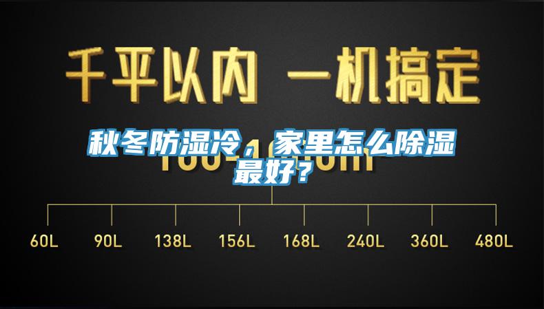 秋冬防濕冷，家里怎么除濕最好？