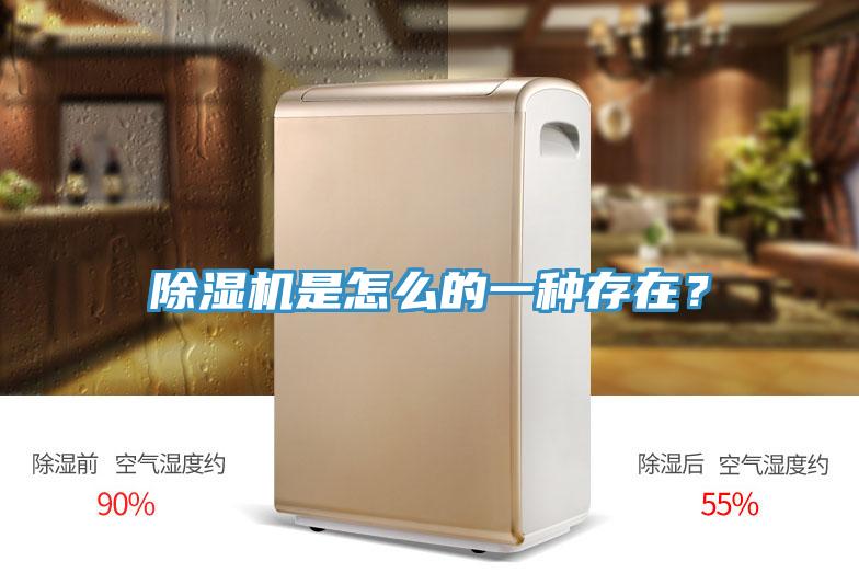 除濕機(jī)是怎么的一種存在？