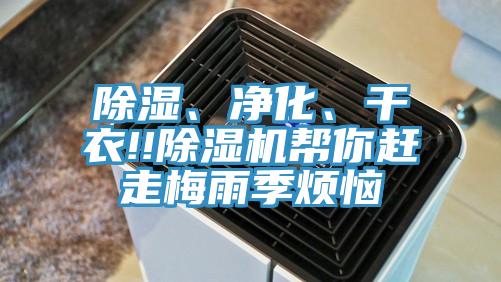 除濕、凈化、干衣!!除濕機(jī)幫你趕走梅雨季煩惱