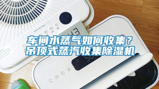 車間水蒸氣如何收集？吊頂式蒸汽收集除濕機(jī)