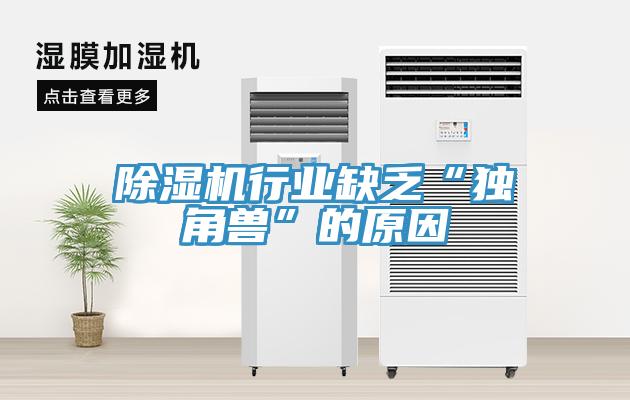 除濕機(jī)行業(yè)缺乏“獨角獸”的原因
