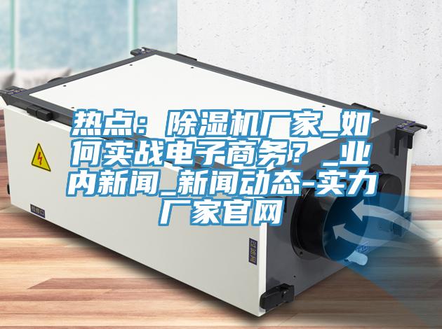 熱點(diǎn)：除濕機(jī)廠家_如何實(shí)戰(zhàn)電子商務(wù)？_業(yè)內(nèi)新聞_新聞動(dòng)態(tài)-實(shí)力廠家官網(wǎng)