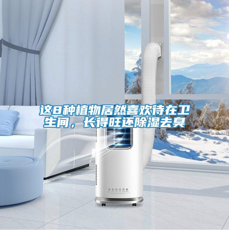 這8種植物居然喜歡待在衛(wèi)生間，長得旺還除濕去臭